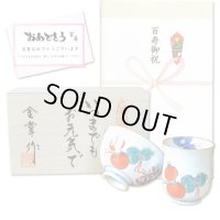 百寿のお祝い 無病息災を願った縁起物ギフト 有田焼 湯呑み 茶碗 飯碗 セット 鍋島六瓢 赤 百寿熨斗・メッセージカード付き 木箱入り