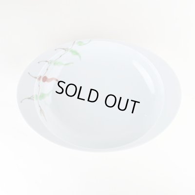 画像2: レッドペッパー 極上のカレー皿（大）