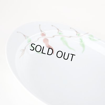 画像5: レッドペッパー 極上のカレー皿（大）