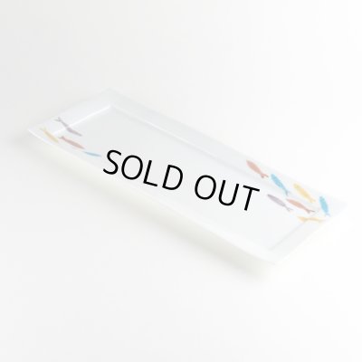 画像4: 彩魚 帯皿