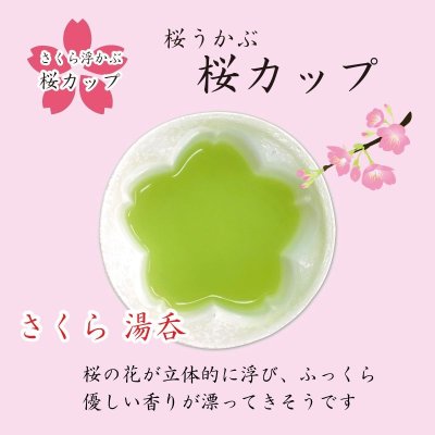 画像6: 名入れ 卒寿祝い 男性 プレゼント 桜の花びら形になる 湯呑み 有田焼 舞さくら グリーン メッセージカード付き 長寿の木箱入り