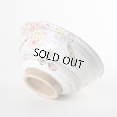 画像4: 花野(大)茶碗