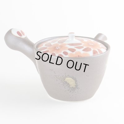 画像3: 赤絵桜 U急須