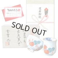 還暦のお祝い 無病息災を願った縁起物ギフト 有田焼 湯呑み 茶碗 飯碗 セット 鍋島六瓢 赤 メッセージカード付き・還暦のし付き 木箱入り