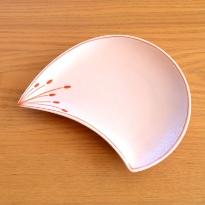 画像5: 日本のお土産 おみやげ 海外へのおみやげ 伝統工芸品 食器 有田焼 梅花びら赤 和皿 セット 陶器 日本製