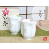 舞さくら （グリーン・ピンク） 桜夫婦湯呑（木箱入）